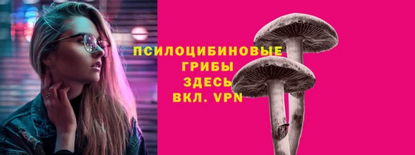 прущая мука Арсеньев