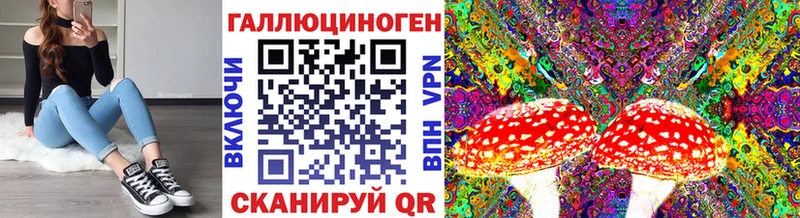 Галлюциногенные грибы Psilocybe  Нолинск 